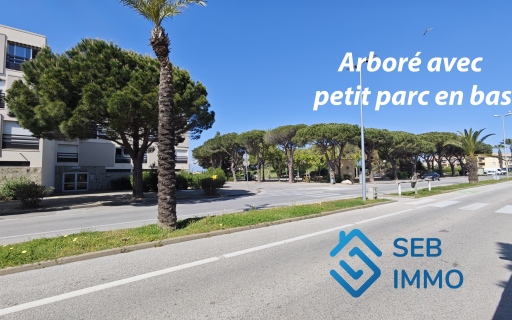 appartement vente Saint-cyprien