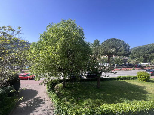 appartement à louer Amélie-les-bains-palalda