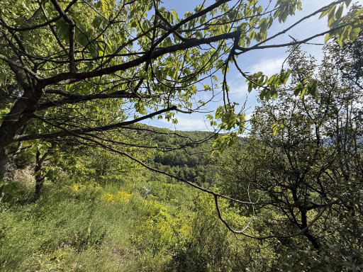 maisonvilla vente Montferrer