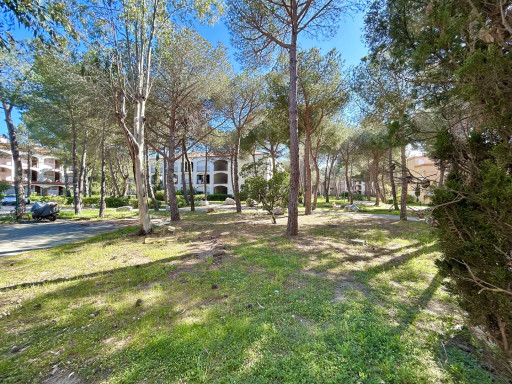 appartement location vacances Argeles plage