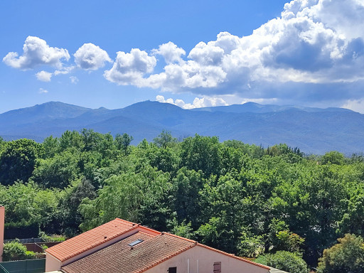 appartement vente Argelès-sur-mer