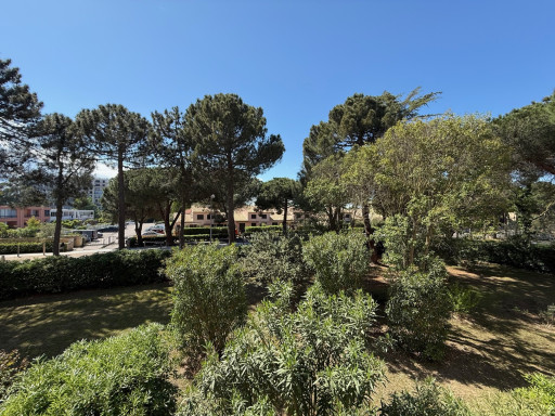 appartement vente Argelès-sur-mer