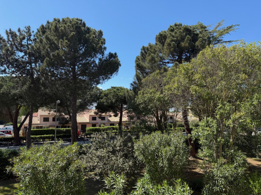 appartement vente Argelès-sur-mer