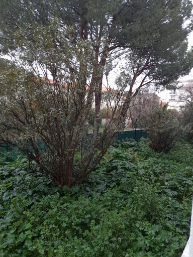 appartement vente Perpignan