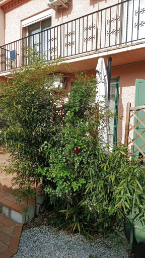 maisonvilla vente Le boulou
