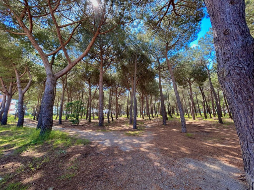 appartement location vacances Argeles sur mer