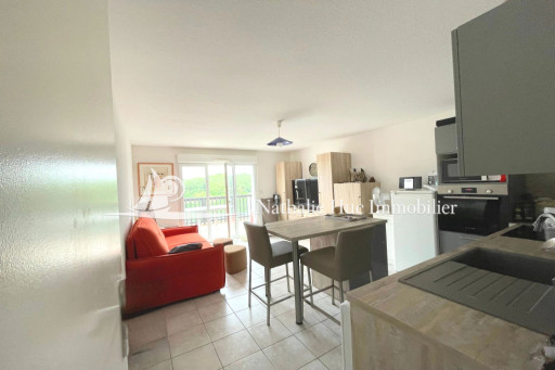appartement vente Saint-cyprien