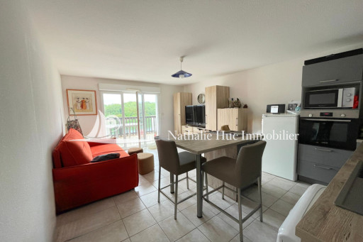 appartement vente Saint-cyprien