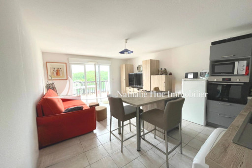 appartement vente Saint-cyprien
