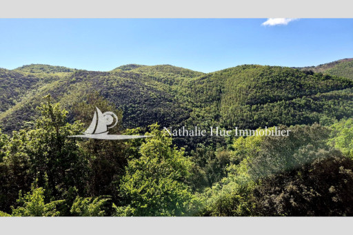 maisonvilla vente Maureillas-las-illas