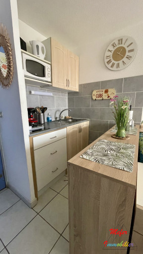 appartement location vacances Canet-en-roussillon