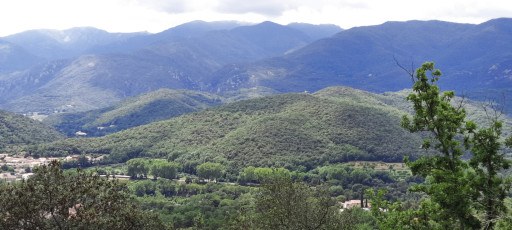 terrain vente Reynès