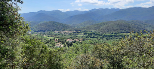 terrain vente Reynès