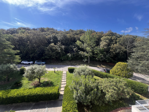 appartement vente Amélie-les-bains-palalda