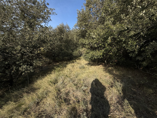 terrain vente Amélie-les-bains-palalda