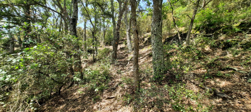 terrain vente Reynès