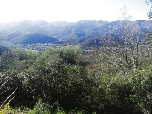 terrain vente Reynès
