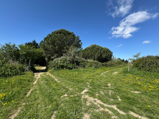terrain vente Saint-cyprien