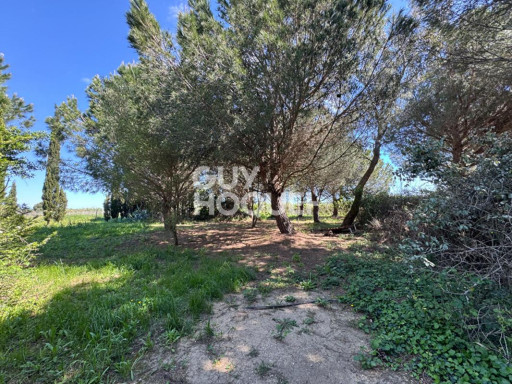 terrain vente Saint-cyprien
