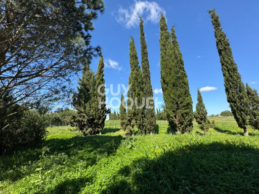 terrain vente Saint-cyprien