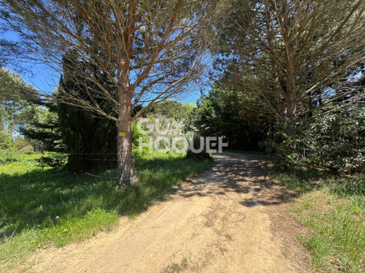 terrain vente Saint-cyprien