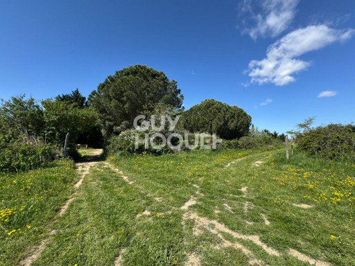 terrain vente Saint-cyprien