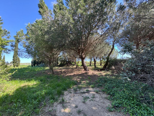 terrain vente Saint-cyprien