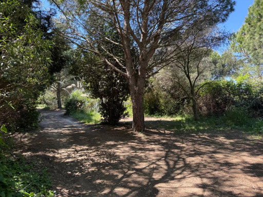 terrain vente Saint-cyprien