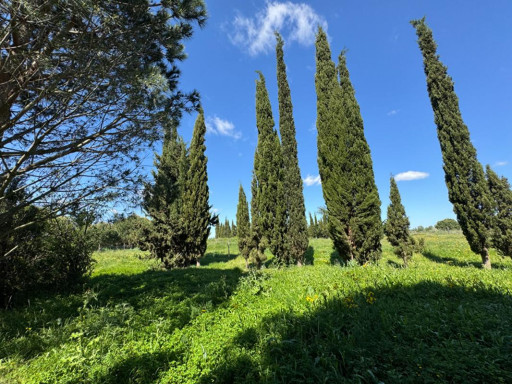 terrain vente Saint-cyprien