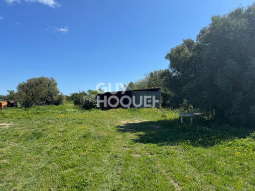 terrain vente Saint-cyprien