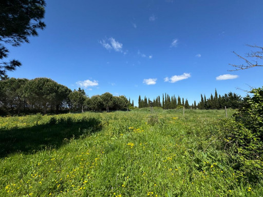 terrain vente Saint-cyprien
