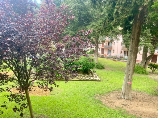 appartement location vacances Amélie-les-bains-palalda