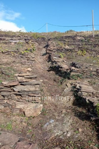 terrain vente Collioure