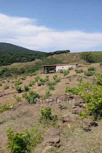 terrain vente Collioure