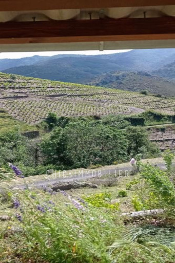 terrain vente Collioure