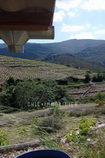 terrain vente Collioure
