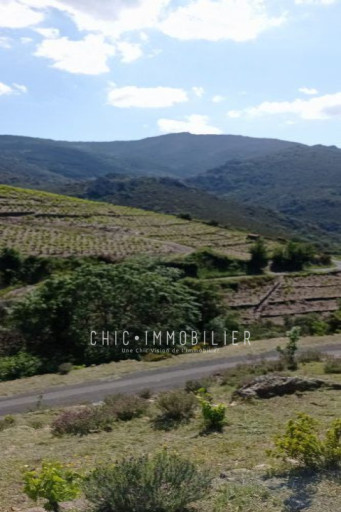 terrain vente Collioure