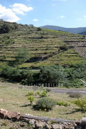 terrain vente Collioure