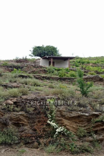 terrain vente Collioure