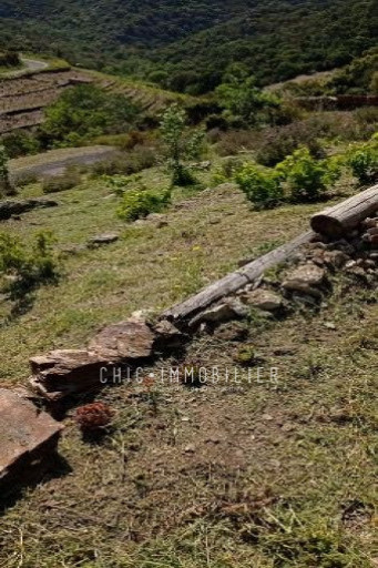 terrain vente Collioure