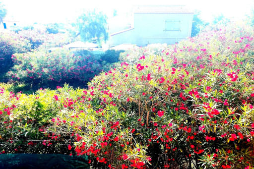 maisonvilla vente Torreilles