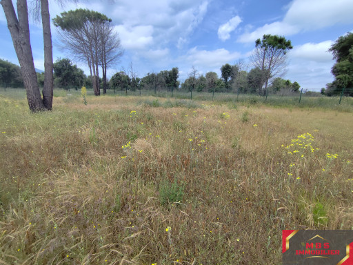 terrain vente Argelès-sur-mer