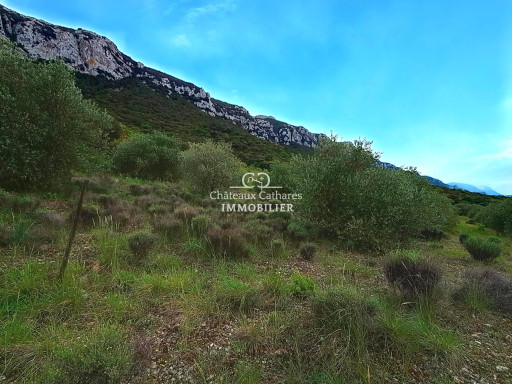terrain vente Saint-paul-de-fenouillet