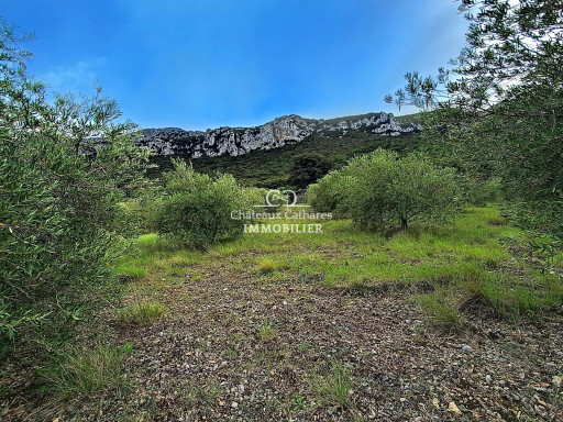 terrain vente Saint-paul-de-fenouillet