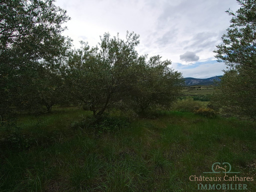 terrain vente Saint-paul-de-fenouillet
