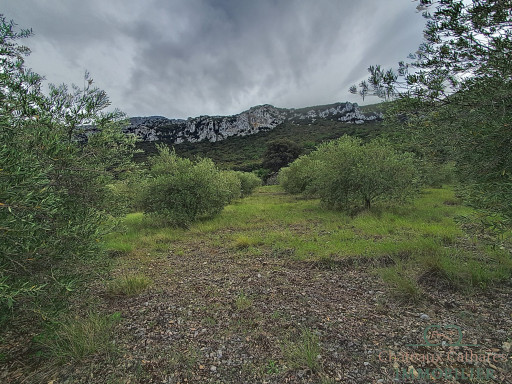 terrain vente Saint-paul-de-fenouillet
