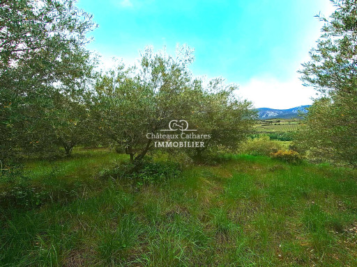 terrain vente Saint-paul-de-fenouillet