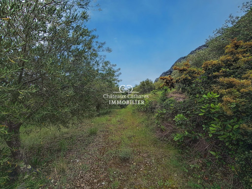 terrain vente Saint-paul-de-fenouillet