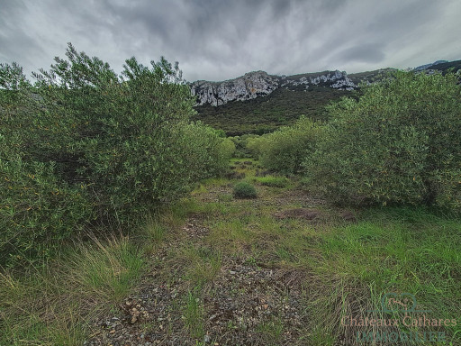 terrain vente Saint-paul-de-fenouillet