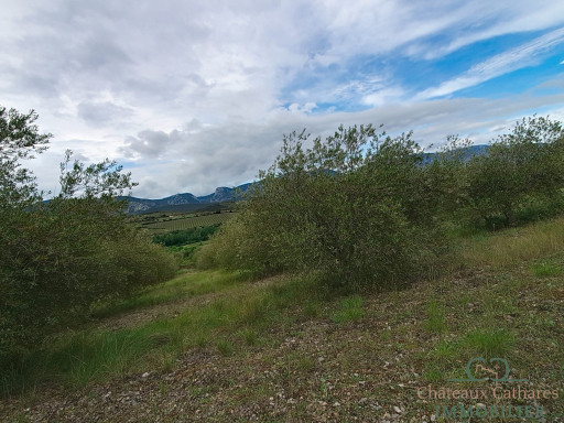terrain vente Saint-paul-de-fenouillet